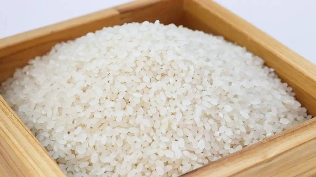 arroz branco