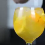 gin tropical