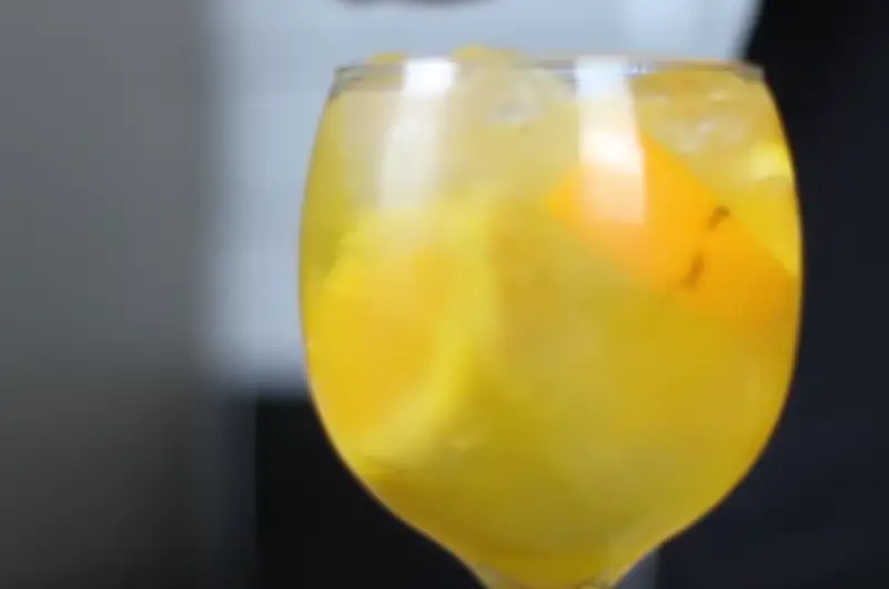 Gin Tropical:  Como Fazer Com e Sem Energético