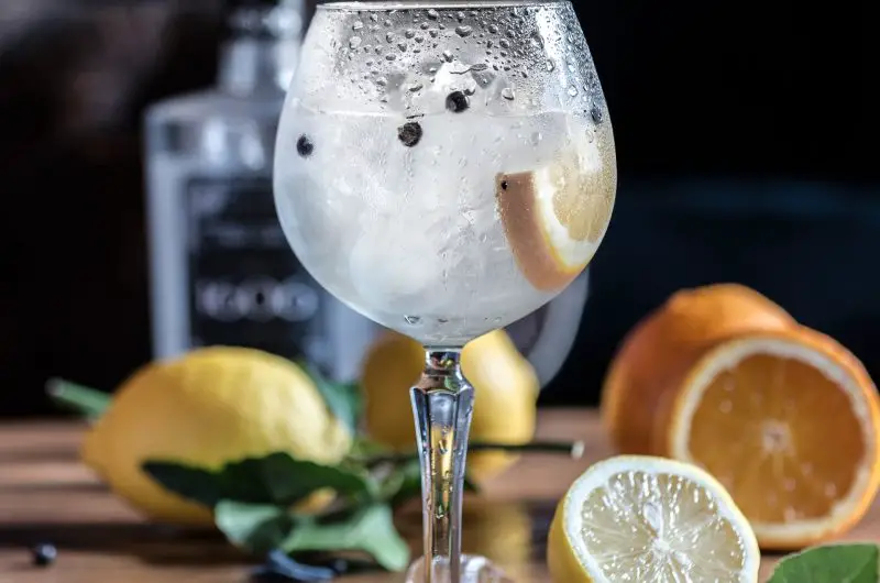 Gin Com Laranja: Receita Com Suco De Laranja